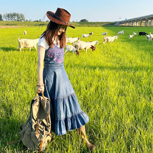 Alfa A-line midi denim dress with embroidered floral patterns